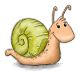 schnecke2